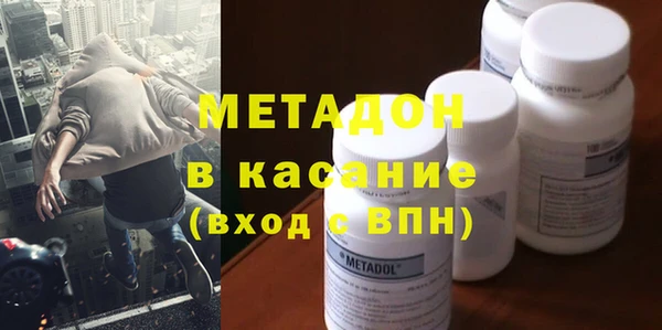 прущие грибы Покачи