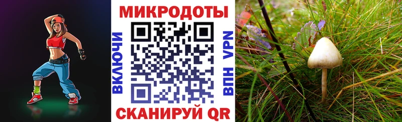 дарк нет формула  Лабытнанги  Псилоцибиновые грибы ЛСД  дарнет шоп 